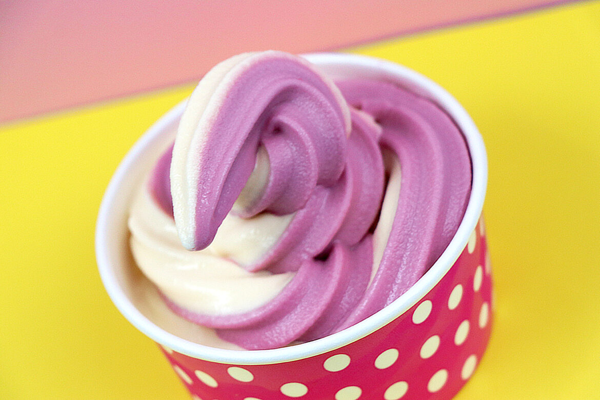 Menu Susie Scoops Ice Cream